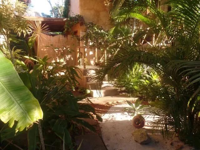 Cor Da Terra Hotel Porto Seguro Brasil